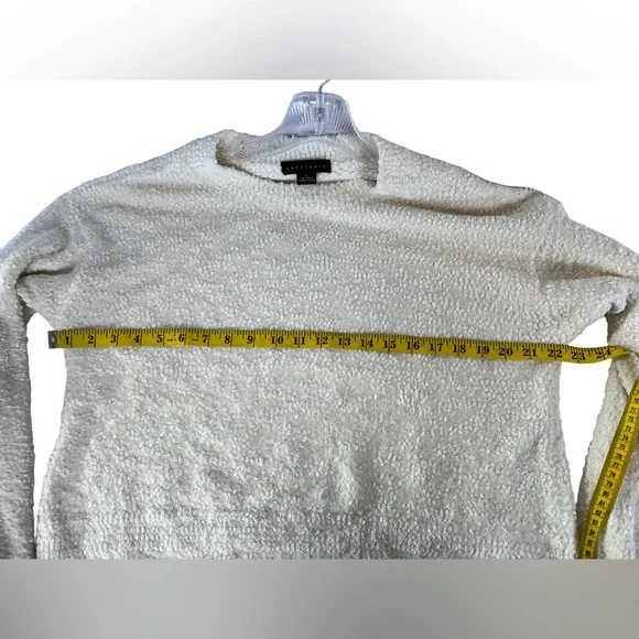 Sanctuary From Anthropologie Plush Volume Sleeve Crew Neck Sweater Size L - Picture 7 of 8